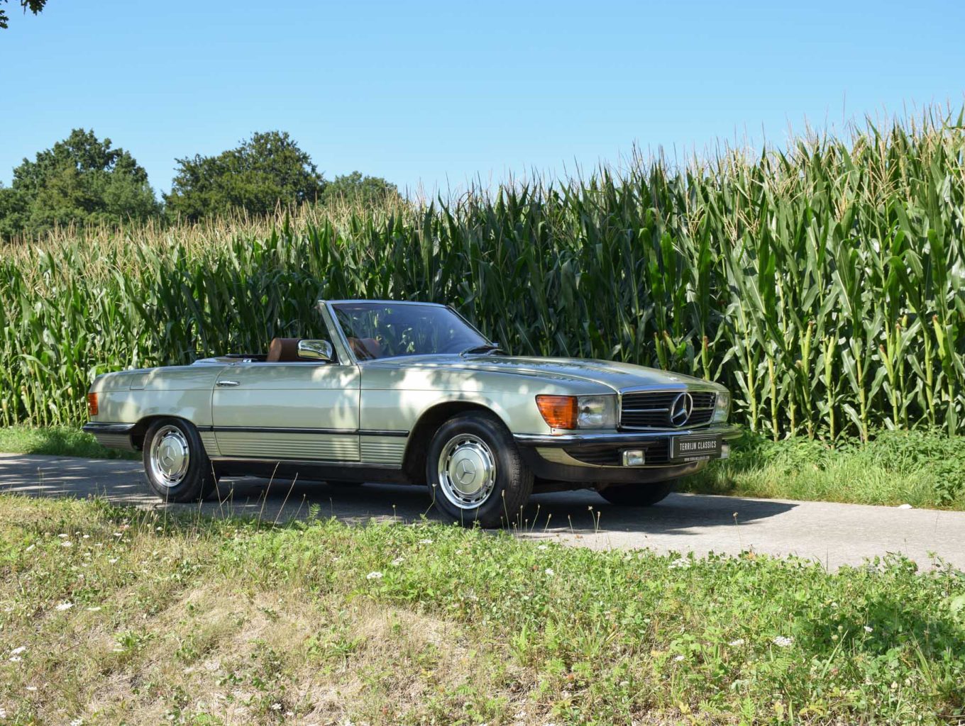 Mercedes-Benz R107 280 SL oldtimer te koop in kleur Thistle Green.